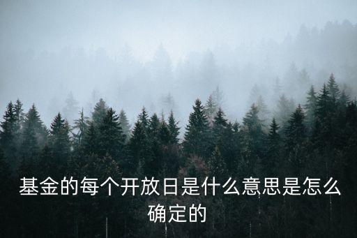 基金的一個工作日時(shí)間是指