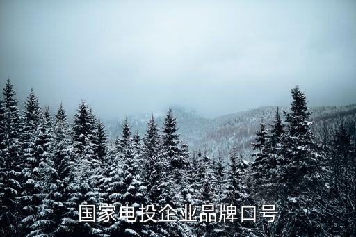 國家電投企業(yè)品牌口號(hào)