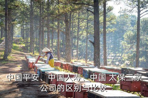 中國(guó)平安、中國(guó)人壽、中國(guó) 太保三家公司的區(qū)別與比較