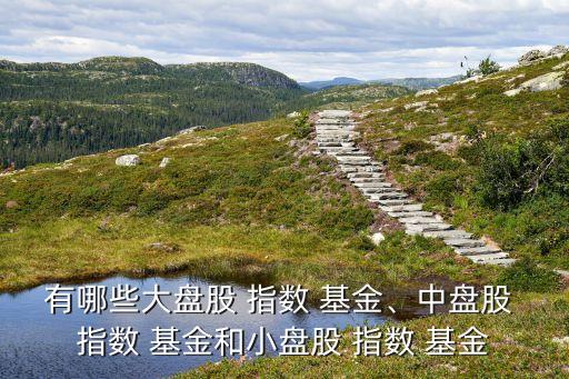 有哪些大盤(pán)股 指數(shù) 基金、中盤(pán)股 指數(shù) 基金和小盤(pán)股 指數(shù) 基金