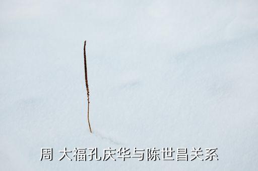 周 大?？讘c華與陳世昌關(guān)系