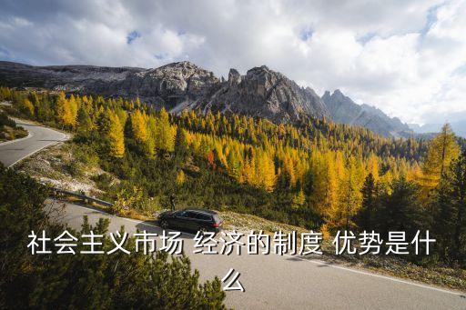 社會(huì)主義市場 經(jīng)濟(jì)的制度 優(yōu)勢是什么