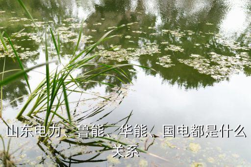 山東電力、魯能、華能、國(guó)電都是什么關(guān)系