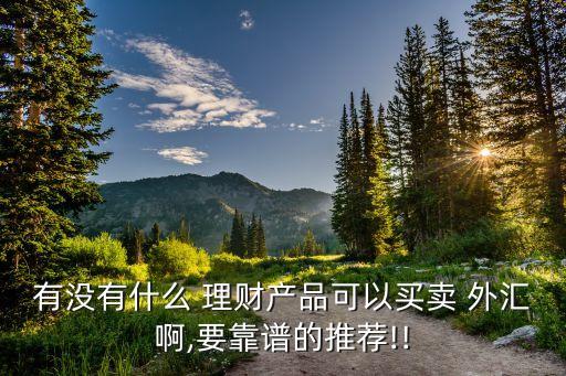 有沒(méi)有什么 理財(cái)產(chǎn)品可以買(mǎi)賣(mài) 外匯啊,要靠譜的推薦!!