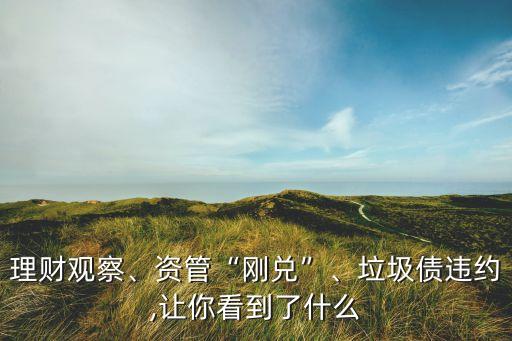 理財觀察、資管“剛兌”、垃圾債違約,讓你看到了什么