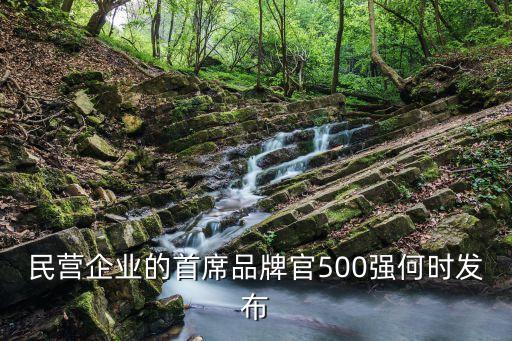 民營企業(yè)的首席品牌官500強(qiáng)何時(shí)發(fā)布