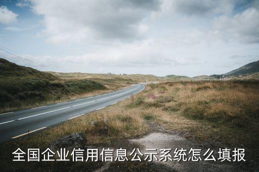 全國(guó)企業(yè)信用信息公示系統(tǒng)怎么填報(bào)