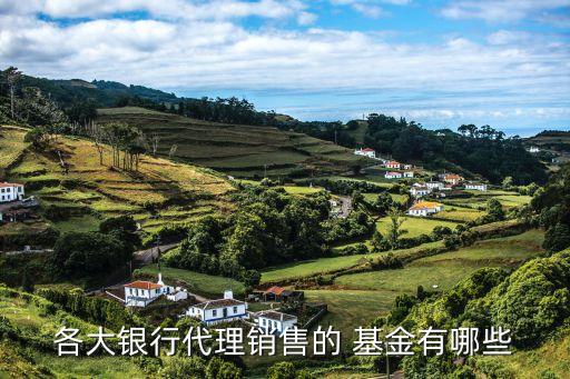 各大銀行代理銷(xiāo)售的 基金有哪些