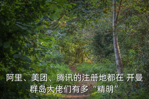 阿里、美團、騰訊的注冊地都在 開曼群島大佬們有多“精明”