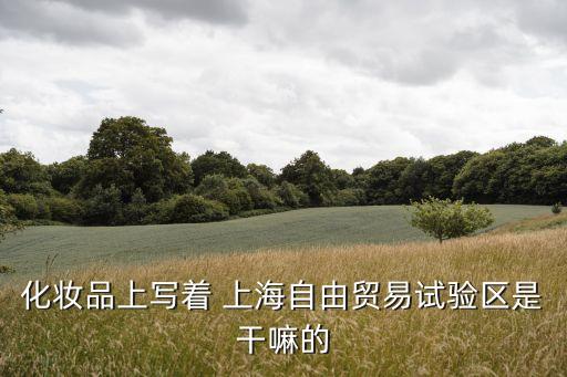 去上海自貿區(qū)買東西,廈門自貿區(qū)買東西怎么樣