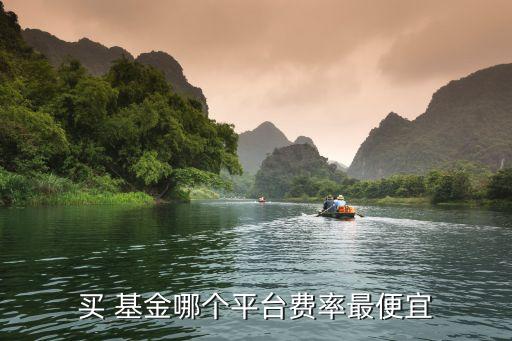 000963基金在那買(mǎi)手續(xù)費(fèi)低