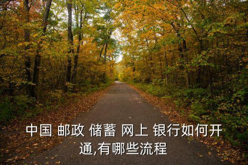 中國 郵政 儲(chǔ)蓄 網(wǎng)上 銀行如何開通,有哪些流程