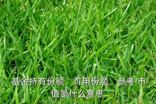  基金持有份額、可用份額、參考 市值是什么意思