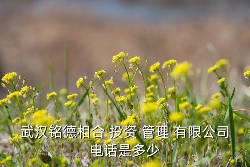 武漢銘德相合 投資 管理 有限公司電話(huà)是多少