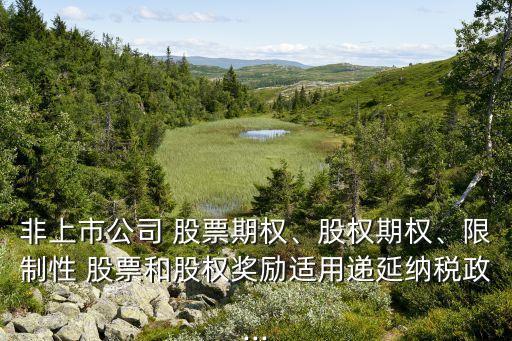 非上市公司 股票期權(quán)、股權(quán)期權(quán)、限制性 股票和股權(quán)獎(jiǎng)勵(lì)適用遞延納稅政...