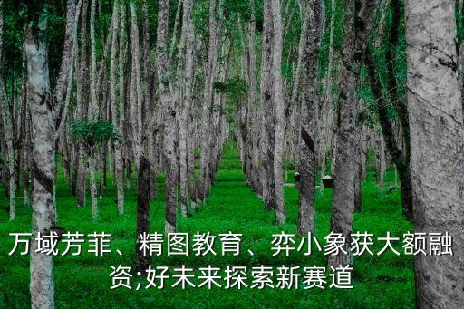 萬域芳菲、精圖教育、弈小象獲大額融資;好未來探索新賽道