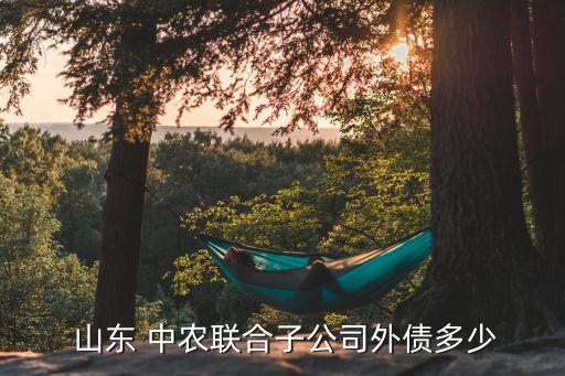  山東 中農聯合子公司外債多少
