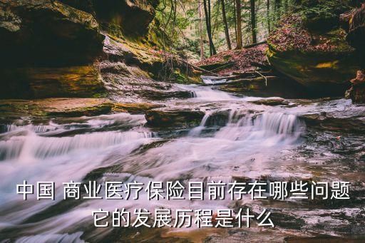 中國(guó)商業(yè)問題,中國(guó)數(shù)字商業(yè)