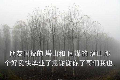 朋友國投的 塔山和 同煤的 塔山哪個(gè)好我快畢業(yè)了急謝謝你了哥們我也...