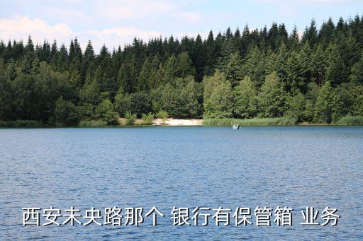 銀行保險箱業(yè)務網點,保險箱業(yè)務哪家銀行有