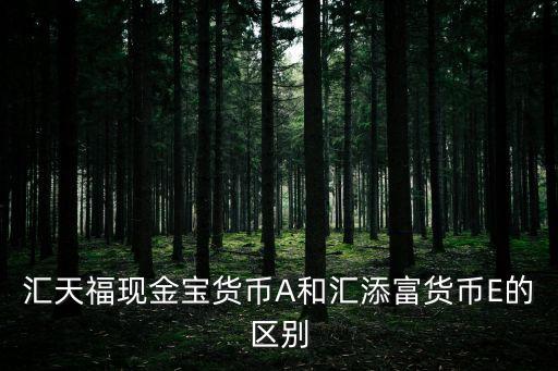 匯天?，F(xiàn)金寶貨幣A和匯添富貨幣E的區(qū)別