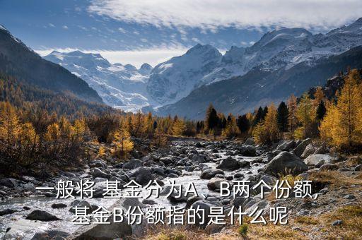 一般將 基金分為A、B兩個(gè)份額, 基金B(yǎng)份額指的是什么呢