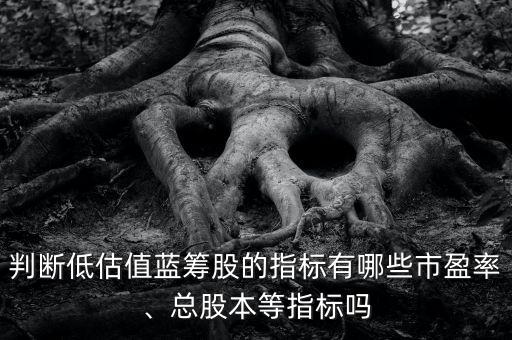 判斷低估值藍(lán)籌股的指標(biāo)有哪些市盈率、總股本等指標(biāo)嗎