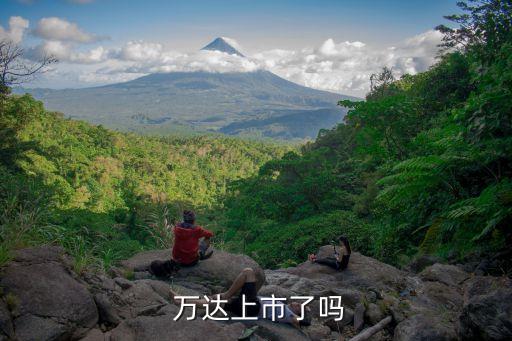 萬達(dá)集團(tuán)2016年企業(yè)發(fā)展,2016年萬達(dá)集團(tuán)年會(huì)