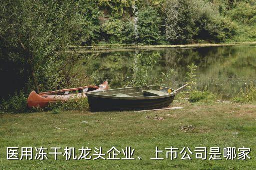 醫(yī)用凍干機(jī)龍頭企業(yè)、上市公司是哪家