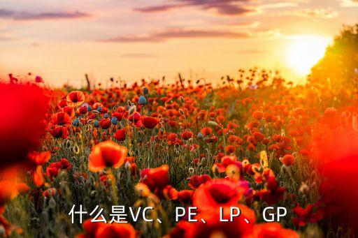 什么是VC、PE、LP、GP