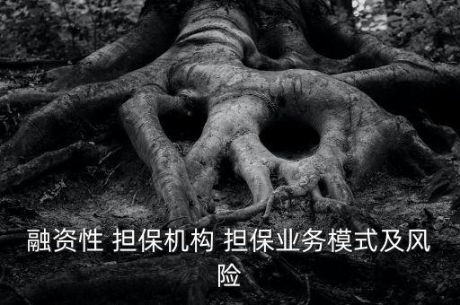 融資性 擔保機構(gòu) 擔保業(yè)務(wù)模式及風(fēng)險