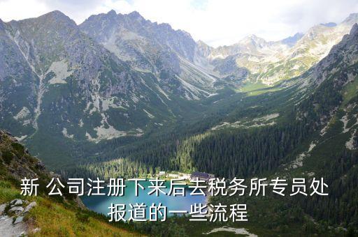 新 公司注冊(cè)下來(lái)后去稅務(wù)所專員處 報(bào)道的一些流程