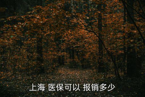 上海 醫(yī)?？梢?報銷多少