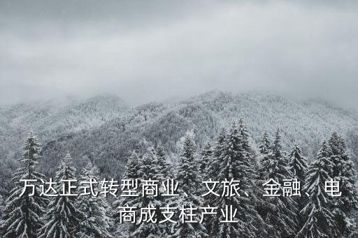 萬達(dá)正式轉(zhuǎn)型商業(yè)、文旅、金融、電商成支柱產(chǎn)業(yè)