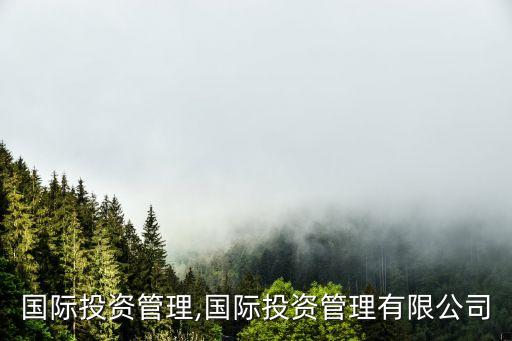 順時(shí)國際投資管理,國際投資管理有限公司