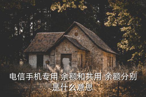 中國電信?？顚ｍ椨囝~