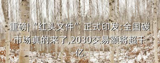 重磅|“紅頭文件”正式印發(fā):全國(guó)碳市場(chǎng)真的來了,2030交易額將超千億