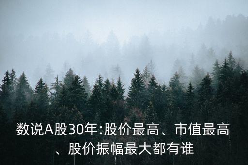 數說A股30年:股價最高、市值最高、股價振幅最大都有誰