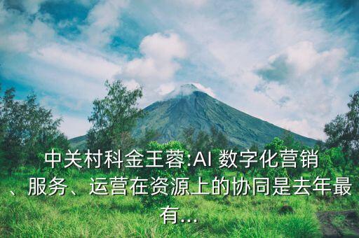  中關(guān)村科金王蓉:AI 數(shù)字化營(yíng)銷、服務(wù)、運(yùn)營(yíng)在資源上的協(xié)同是去年最有...
