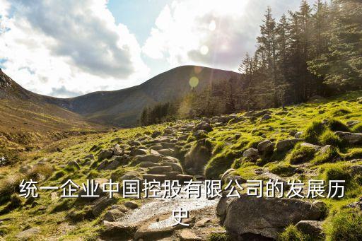 統(tǒng)一集團(tuán)2013年報