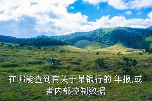 在哪能查到有關于某銀行的 年報,或者內部控制數據