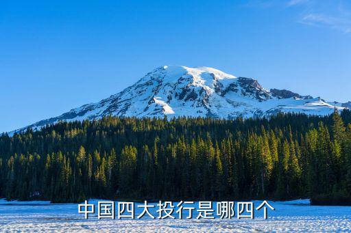 中國的金融中介機構(gòu),中國金融中介機構(gòu)體系具體有哪幾家公司