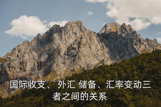 國(guó)際收支、 外匯 儲(chǔ)備、匯率變動(dòng)三者之間的關(guān)系