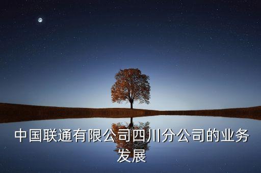  中國聯(lián)通有限公司四川分公司的業(yè)務 發(fā)展