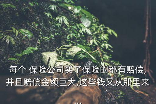 每個(gè) 保險(xiǎn)公司買了保險(xiǎn)的都有賠償,并且賠償金額巨大,這些錢又從那里來(lái)...