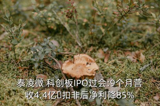 上?？苿?chuàng)集團(tuán)朱民,上海藍(lán)灣科創(chuàng)資本集團(tuán)