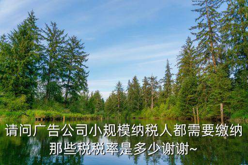 請(qǐng)問廣告公司小規(guī)模納稅人都需要繳納那些稅稅率是多少謝謝~