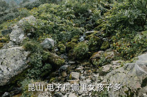  昆山 電子廠(chǎng)哪里女孩子多