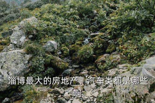  淄博最大的房地產(chǎn)、汽車類都是哪些啊