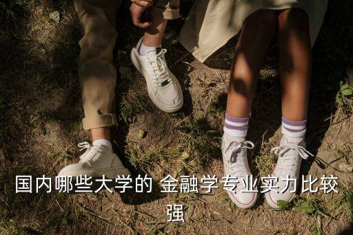 國內哪些大學的 金融學專業(yè)實力比較強